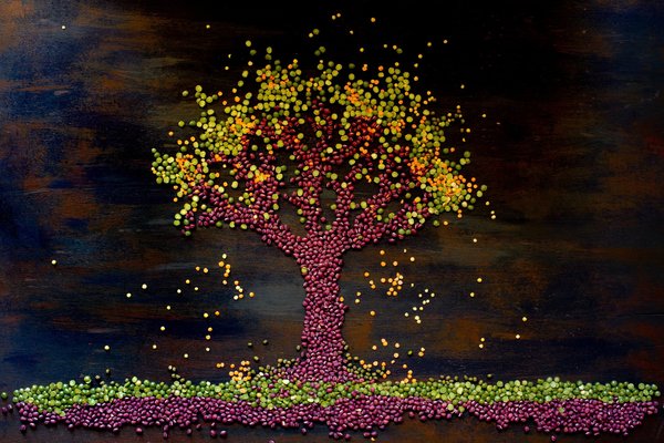 Les brunchs végétaliens : Des options délicieuses sans produits d'origine animale